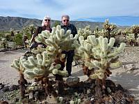 joshua tree national park (21).JPG